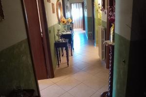 Vendita appartamento