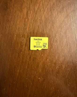 SanDisk Micro SD XC I 256
