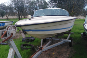 Barca motore e carrello omologato