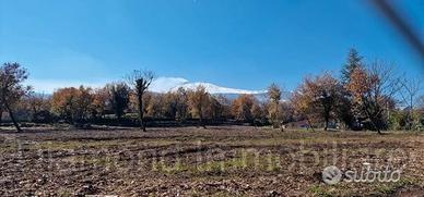 Terreno edificabile 11.000 mq pianeggiante