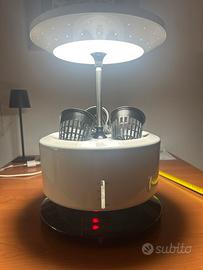 Orto idroponico indoor