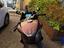 Immagine 5