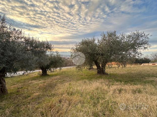 TER. AGRICOLO A CHIETI