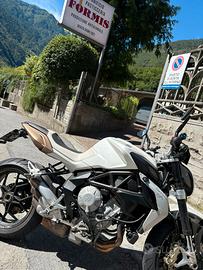 Mv Agusta 685 Brutale