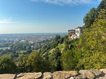 Baby Sitter- aiuto compiti -cameriera