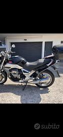 Moto Guzzi Breva 750 - 2007