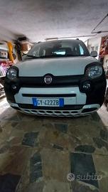 Pandina city cross 2025