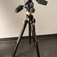 Cavaletto Manfrotto 190XPROB con 804RC2