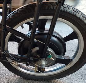 ruota scooter elettrico 250 watt