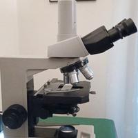 MICROSCOPIO NIKON OPTIPHOT TRINOCULARE