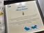 Immagine 5