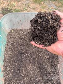 Humus naturale di lombrico