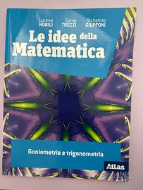 Libro le idee della matematica