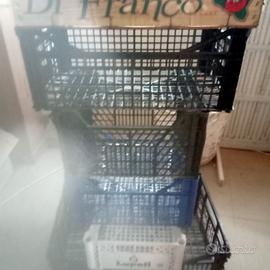 cassette imballaggio in plastica 