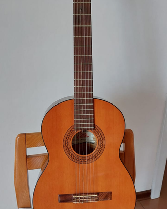 Chitarra classica a corde