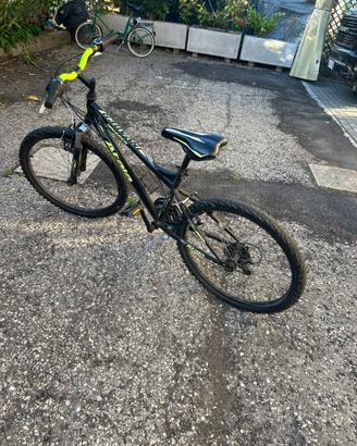 Atala invader