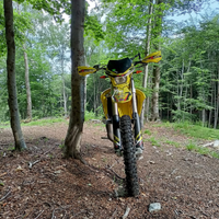 Suzuki valenti rme 50