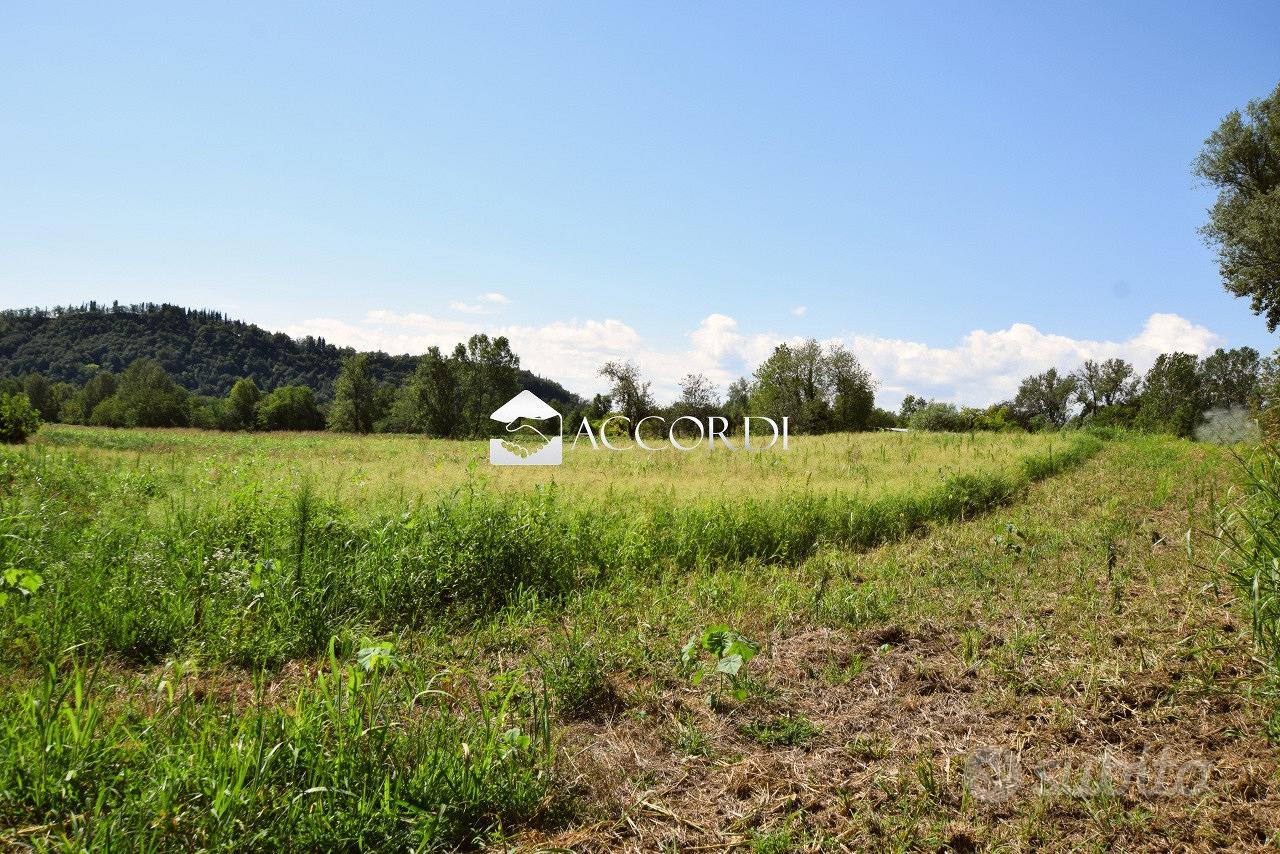 Rif.SW186- terreno agricolo asolo - Vista 4