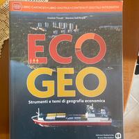 eco geo strumenti e temi di geografia economica