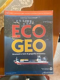 eco geo strumenti e temi di geografia economica