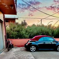 New Beetle Limited Red Edition