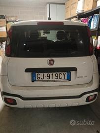 Panda Cross ibrida GPL anno 2021