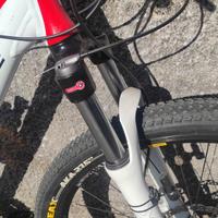 Mountain bike frw can more professional artigianal