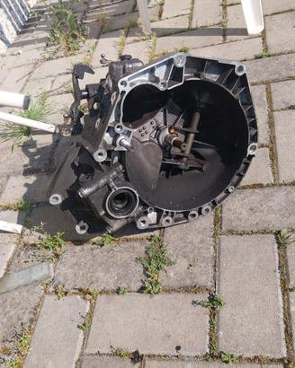 cambio fiat punto evo 1.4 anno 2010