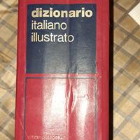 dizionario illustrato
