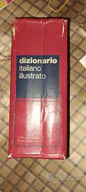 dizionario illustrato