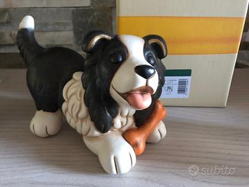 cane Border Collie Thun 2019-2020