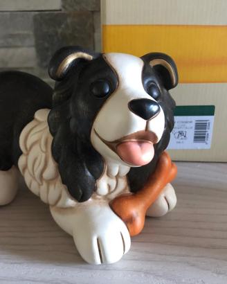 cane Border Collie Thun 2019-2020