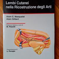 Lembi cutanei nella ricostruzione degli arti