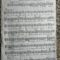 Spartiti musicali 