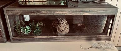 Terrario rettili teca