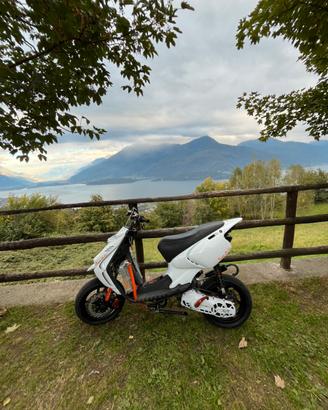 Smembro beta ark tpr 86