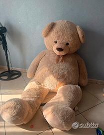 Orso 2 metri