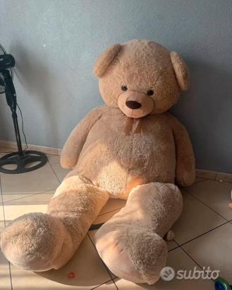 Orso 2 metri