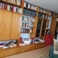 Libreria parete  divisorio 