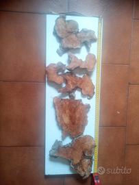 6 scaglie di radica di ulivo  x tavoli in resina 