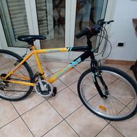 montain bike 24