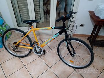 montain bike 24