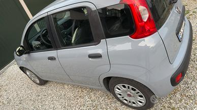 Panda 1.0 hybrid s&s firefly