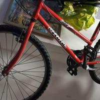 bicicletta Atala Flipper mountain bike