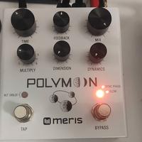 MERIS Polymoon + MIDI I/O