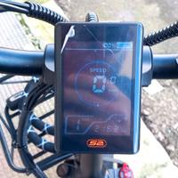 Bici elettrica due motori 1000watt