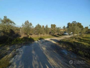 Immobile in asta di 32948 m² con più di 5 locali a