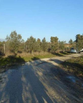 Immobile in asta di 32948 m² con più di 5 locali a