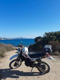 SPLENDIDA Kawasaki KLR 600 - 1984