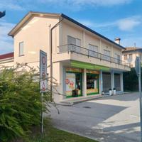 SPAZIOSO APPARTAMENTO BICAMERE - ingresso indip...